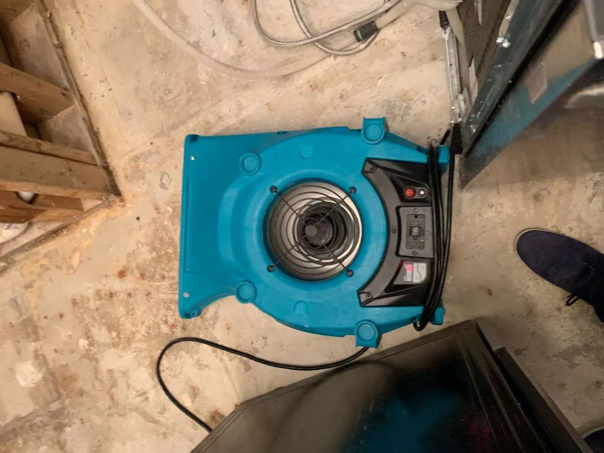 Air mover drying equipment for Mold Remediation & Removal in Kelso
