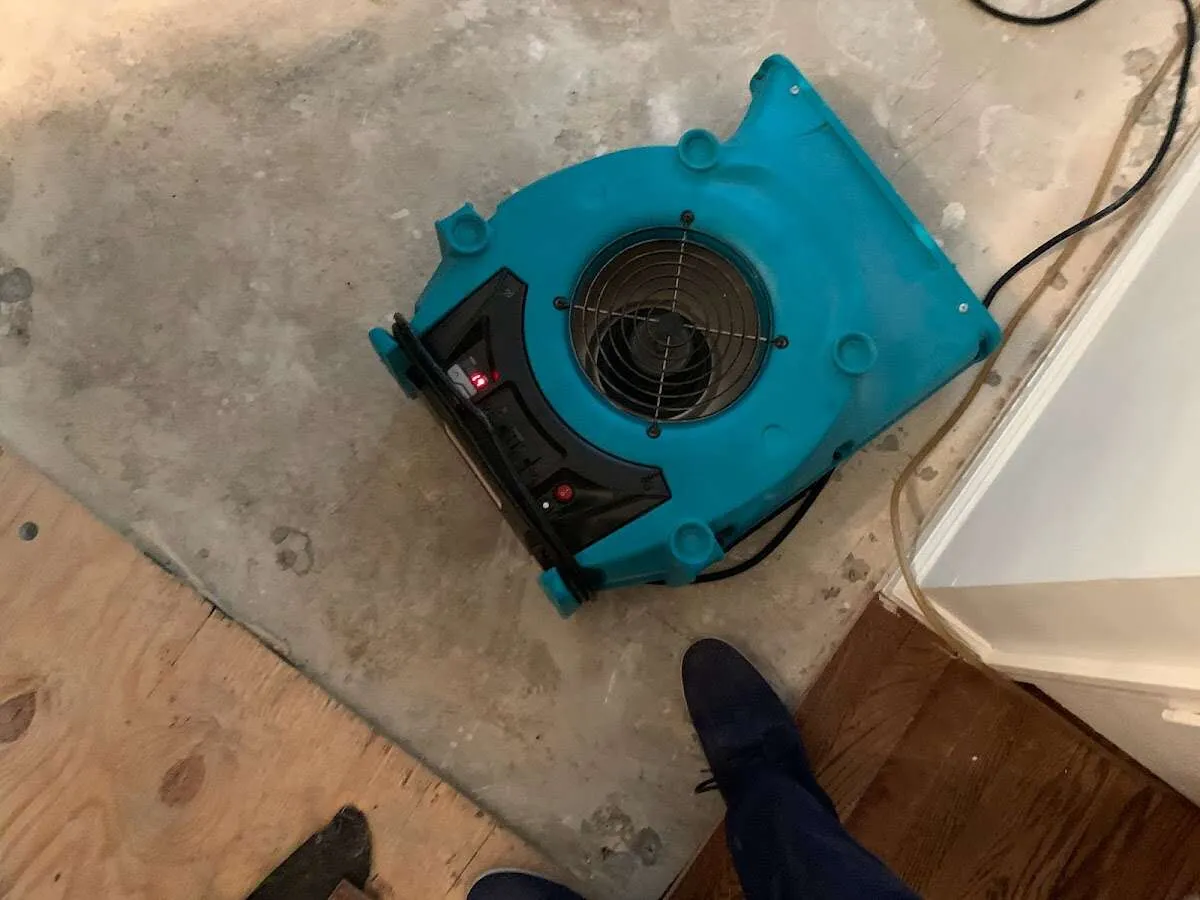Air mover drying subfloor during Commercial Water Damage Restoration in Kelso